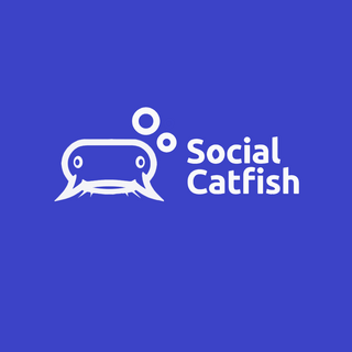 Social Catfish Promo-Codes 